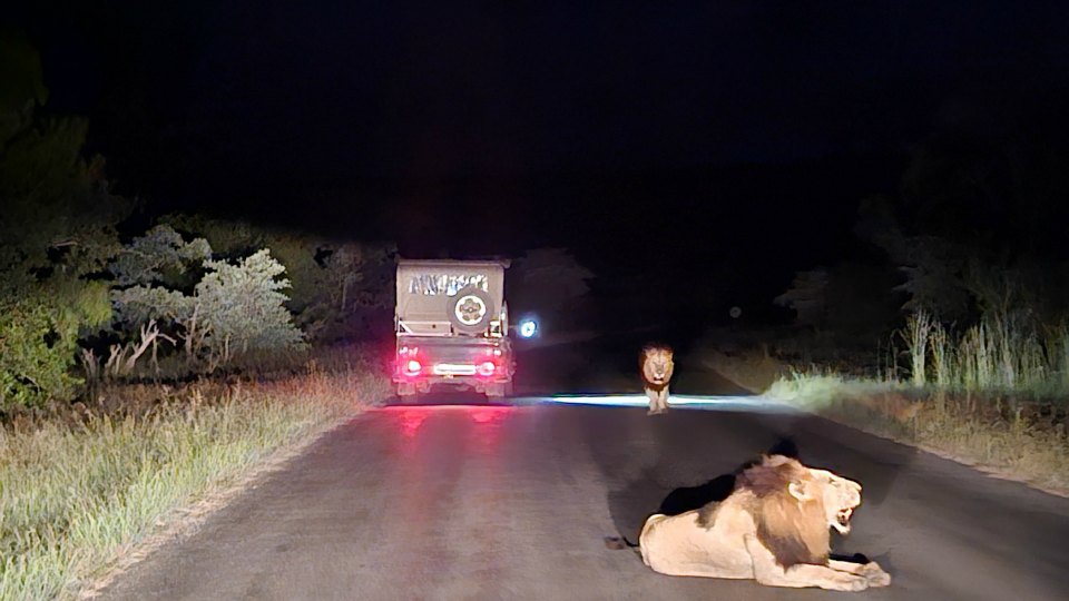 <h2>The Best of South Africa Escorted 2023</h2> 14 Nights | 6 Rounds | March 11 - 25